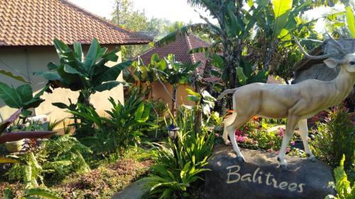 Balitrees