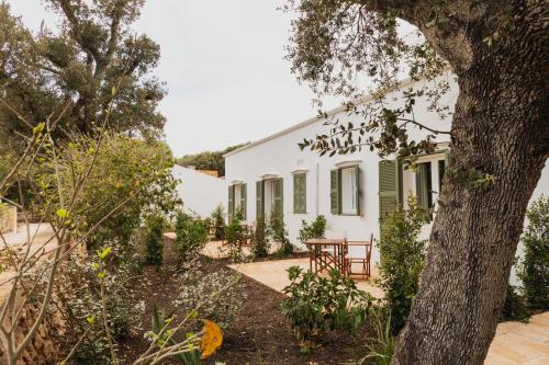 Hotel Rural Sant Ignasi - image 8