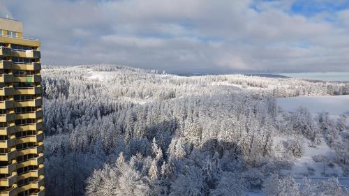 Apartment 350 mit Brockenblick in Braunlage, Deutschland