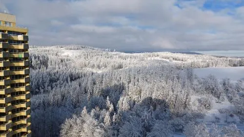Apartment 350 mit Brockenblick in Braunlage, Deutschland