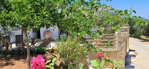 MariAdni Garden House