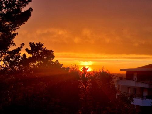 Écrin de verdure gîte à louer Sainte-Marthe