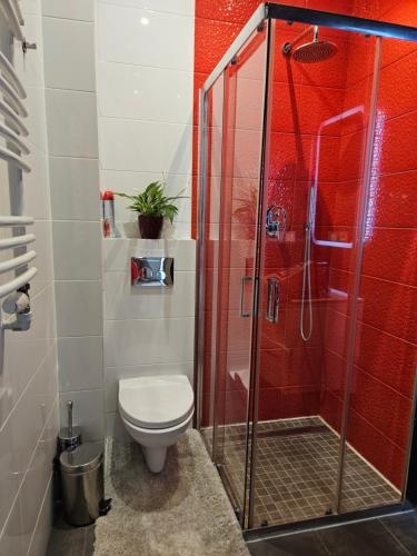 Przytulne studio przy Łazienkach Królewskich, Varšava (fotografie 9)