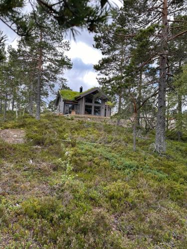 . Moderne Fjellhytte Gautefall med Utsikt