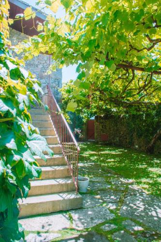 Just Like Home - Casa do Cruzeiro, Moledo (fotografie 8)