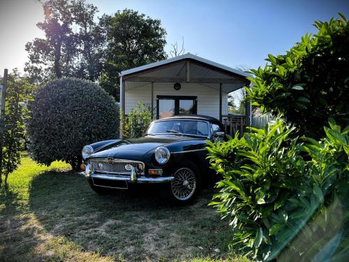 Mobile Home