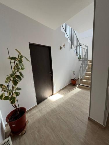 Intrare, Alexander Residence in Brăila