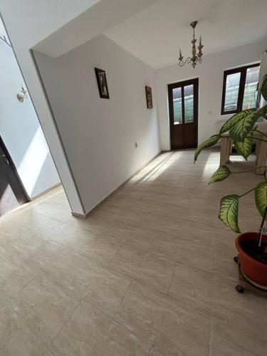 ทางเข้า, Alexander Residence in บราอิลา