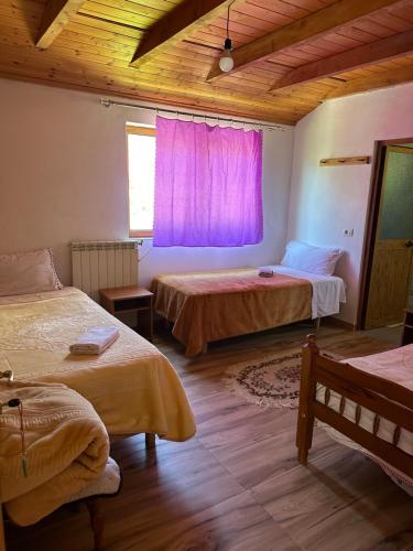 Guesthouse Prek Bjeshka in Nderlysaj