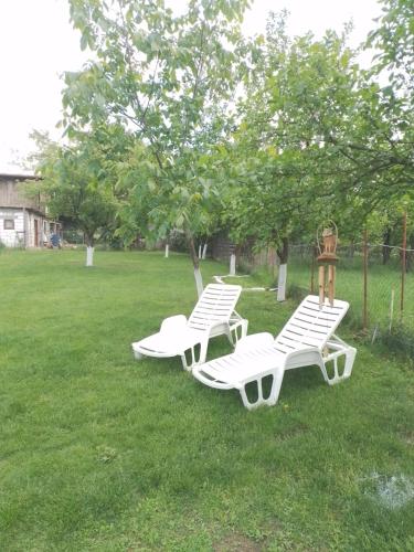 Pensiune Colina Farm 4
