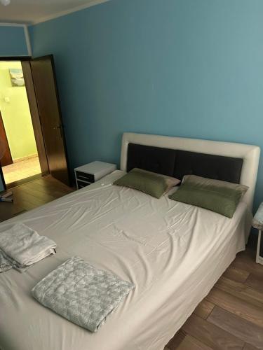 Kuća za EXIT 2024