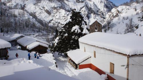 Apartamentos Blanca Senda del Oso