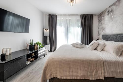 Modern Apartment Lacus - Tap to explore photos