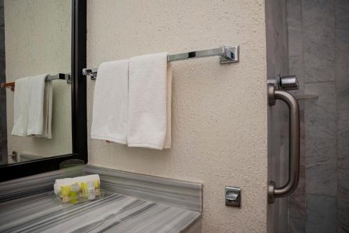 Holiday Inn La Piedad by IHG