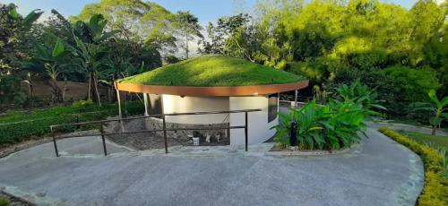 Small Round House with Living Roof - image 2