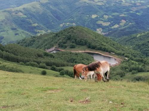 Casa rural SOROA landetxea