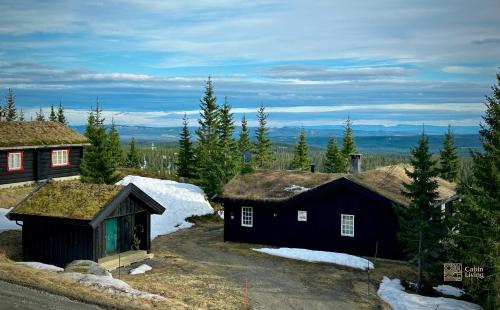 Cozy spacious cabin with sauna at Natrudstilen in Ringsaker