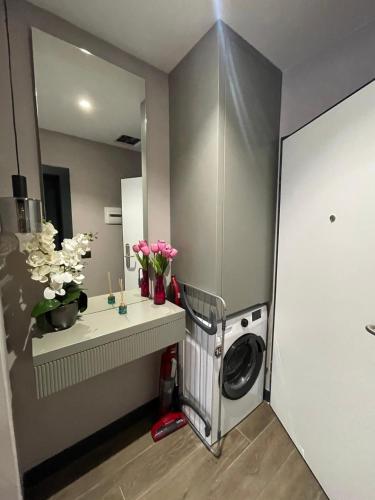 One-Bedroom Apartment image 10
