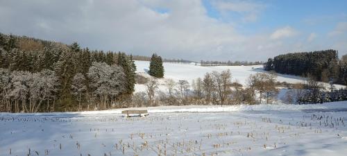 A környék, Haus am Wald in Lissendorf