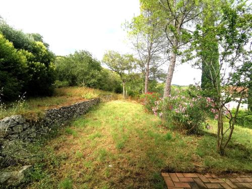 Skats, Le Mazet des oliviers, vue panoramique, climatisation in Saint-Hippolyte-du-Fort