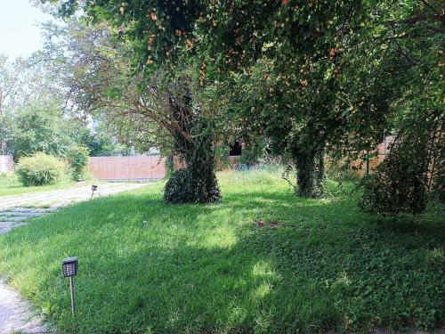 Garden, A place to be - Ruhelage mit gratis Parkplatz in Wetzelsdorf