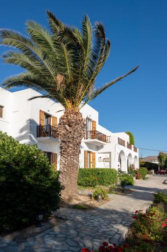 Hotel in Naousa 