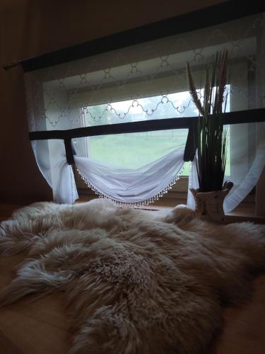 B&R Pokoje Gościnne B&R Pokoje Gościnne