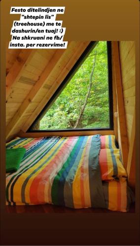Treehouse, Ferizaj (foto 8)