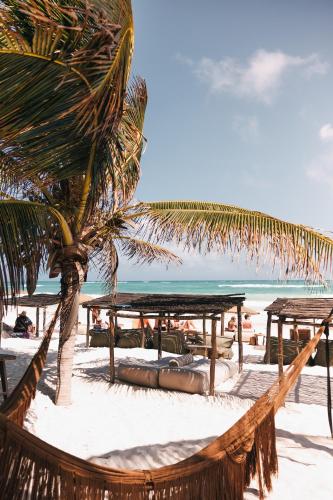 Orchid House Tulum Beach in Tulum, Mexico
