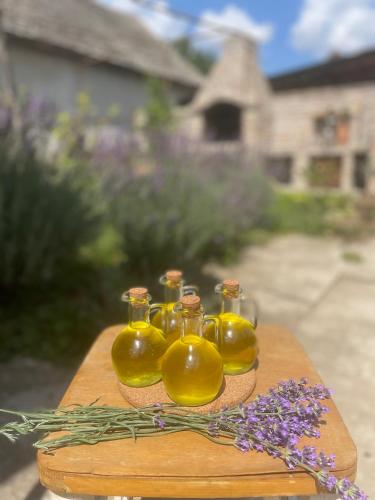 Kuća na selu “ANNA” (Kuca na selu “ANNA”) in Feketic