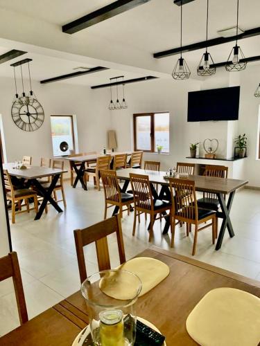 Casa Britonia in Retezat
