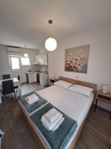 Apartmani Lisičina