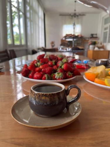 Collage Guesthouse in Alaverdi