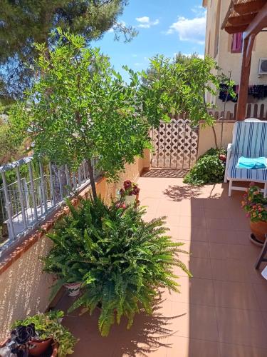 Erkély/terasz, Apartemento Monika Monte Pedrera C 1 TOP Aussicht in La Pedrera