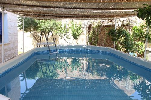 Swimming pool, Unique&Warmy place in the Dead Sea in North Dead Sea