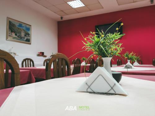 Garni Motel Aba 2
