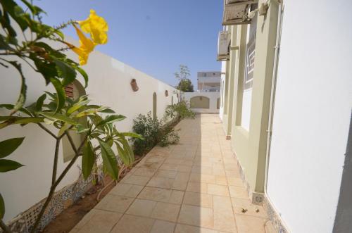 Elite Hostel Dahab in City Center