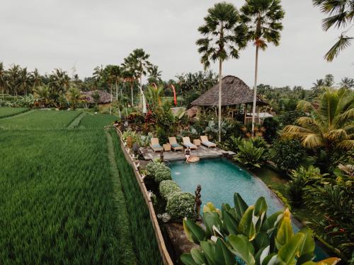 Padi Bali Retreat - Bali