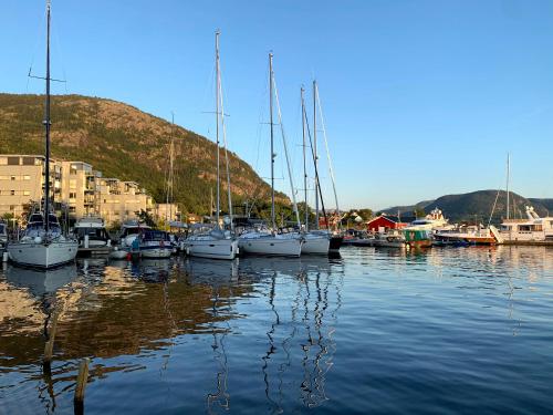 Small apartment in the harbour of Jørpeland, Jørpeland (photo 10)