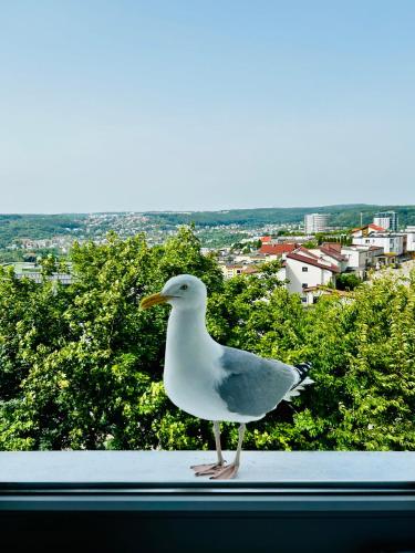 Kilátás, Cliff Apartment Redłowo (Cliff Apartment Redlowo) in Redlowo