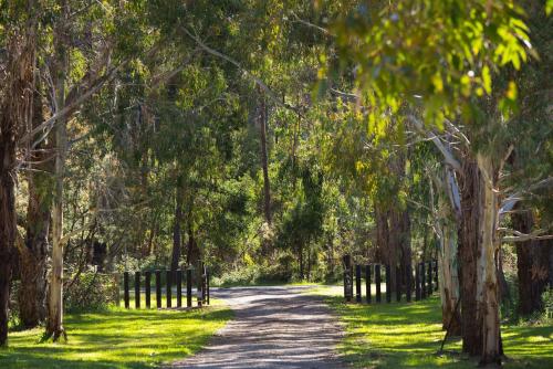 Bodhi Daylesford - family friendly group accommodation with pool - Tap to explore photos