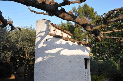 Du Coté de Chez Soi - Chambre d'hôtes - La Ciotat