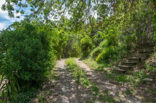 Can Riqué Can Riqué