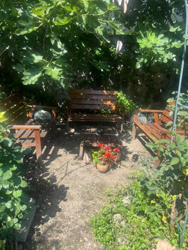 卡萨德奥赛鹏特杜瑞拉卡扎尼乡村民宿 卡萨德奥赛鹏特杜瑞拉卡扎尼乡村民宿