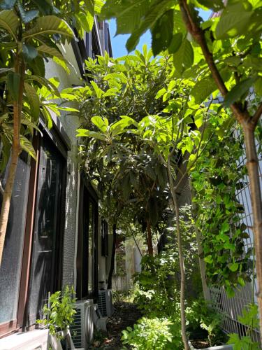 Guest House Harukawa