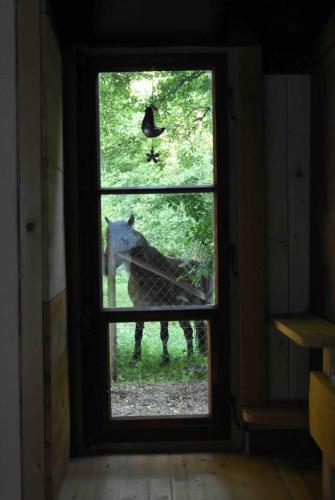 Gîte équestre Au village 45 (Gite equestre Au village 45) in Courtedoux