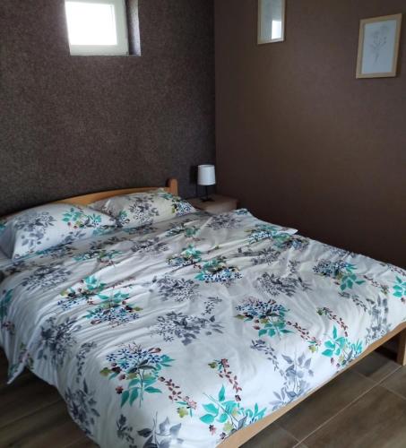 HiT apartmani Pačir2&3 (HiT apartmani Pacir2&3) in Pacsér