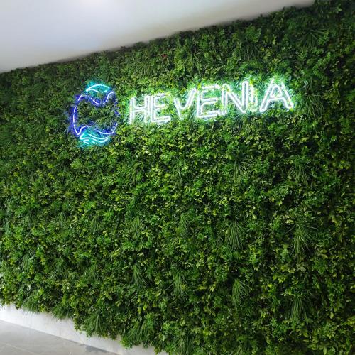 Resort Hevenia Apartament Nr 8