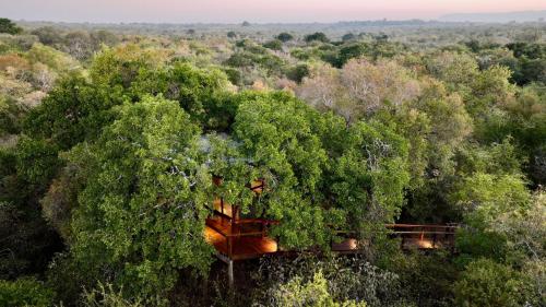 Kingfisher Creek Safari Lodge