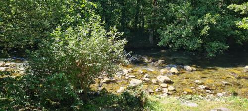 Ariège, appartement avec jardin en bord de rivière, Vicdessos (fotografie 3)